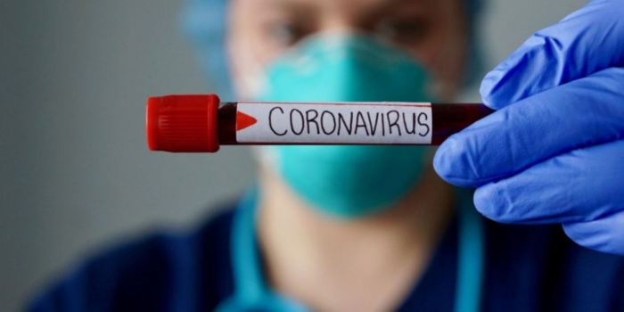 Coronavirus en Salta: con 201 nuevos casos positivos la situación se mantiene estable