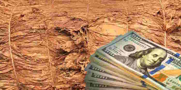 El dólar blue alcanzó un nuevo récord en medio de la demora de un acuerdo con el FMI