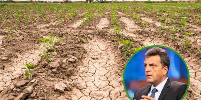 Declararon estado de emergencia agropecuaria en diez departamentos de Salta