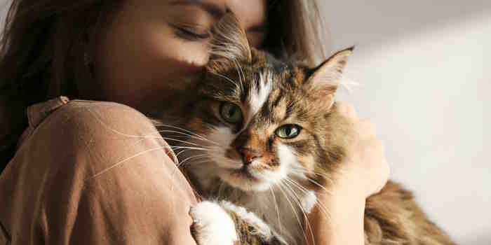 Estos son los beneficios de los animales en la vida de las personas