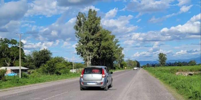 El automóvil que abandonó el animal, patente AC093ZY, a nombre de la empleada del refugio animal.