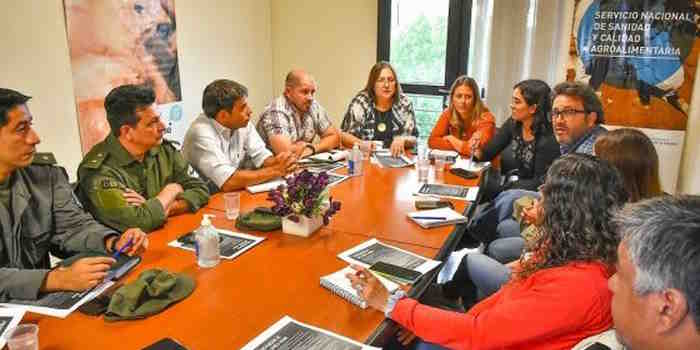 Gripe Aviar: el Gobierno colaborará con SENASA para establecer una red de sensores