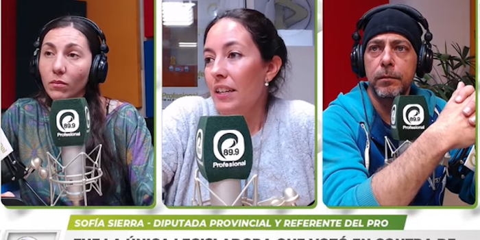 Diputada salteña detalló los artículos más polémicos de la Ley “Anti Fake News”