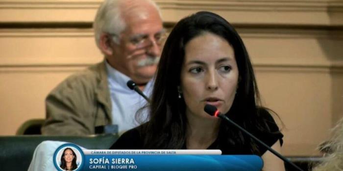 “Unifiquen las elecciones con las nacionales”: el PRO cuestionó la suspensión de las PASO