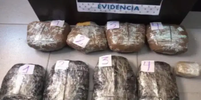 Diez detenidos vinculados con una organización narcocriminal