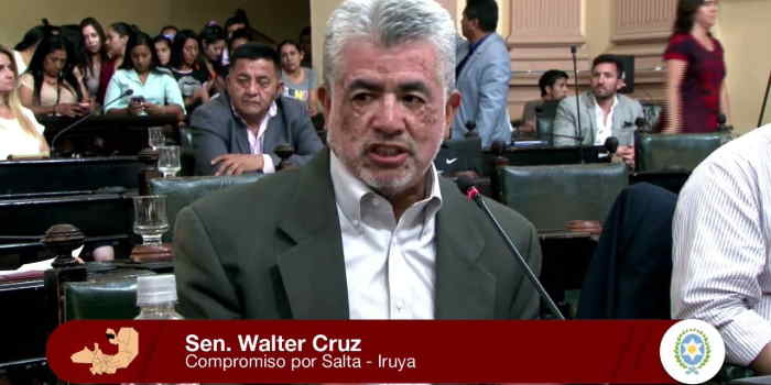 “Diputados dejó que la Ley de desarrollo de Pueblos Indígenas venciera”