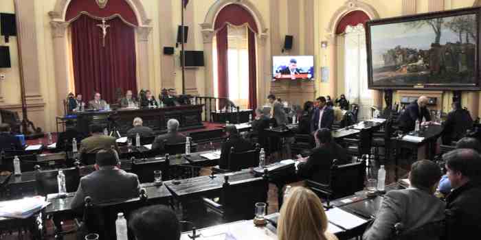 El Senado aprobó la adhesión a la Ley de “Cannabis Medicinal y Cáñamo Industrial”