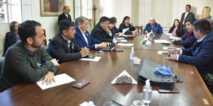 El Senado planteó ideas para optimizar la reinversión de las utilidades de la minería