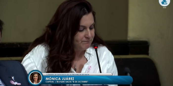 Diputados aprobó el proyecto de restricciones para deudores alimentarios