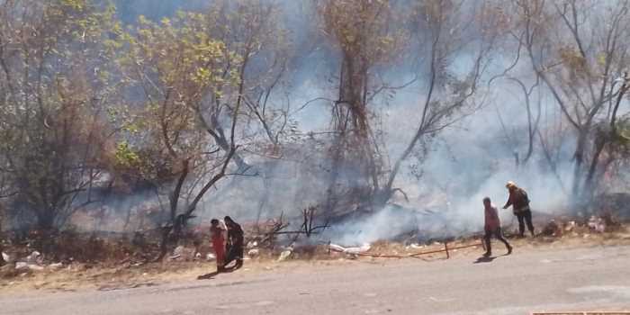 Senado: se aprobó ley para establecer un presupuesto mínimo de protección ambiental