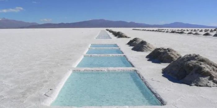 Insisten que debe modificarse la política de aprovechamiento del litio