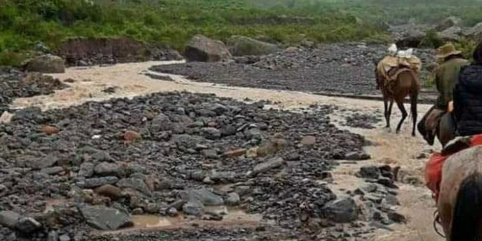 Vecinos del Toro dicen que enduristas matan animales