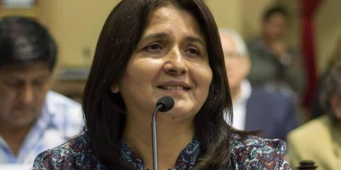 Diputados esperan los informes de obras previstas con el porcentaje mayoritario del Plan Bicentenario