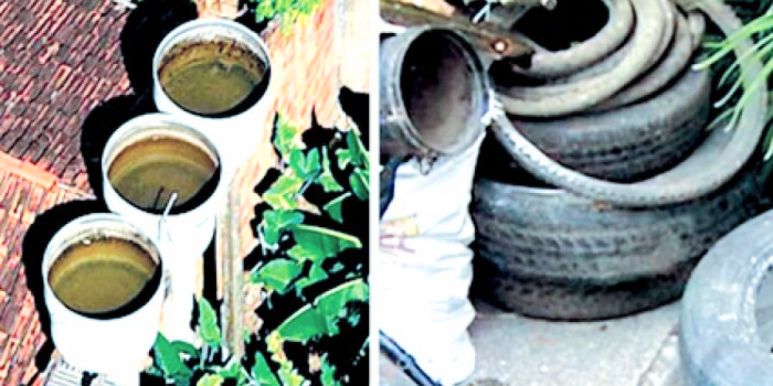 Nación y provincia realizan una vigilancia epidemiológica