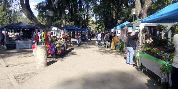 Cierra la feria del Parque San Martín por un caso positivo de coronavirus
