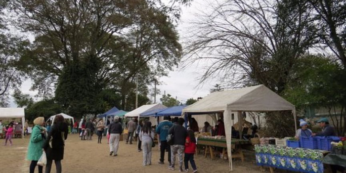 Este fin de semana vuelve el Mercado Vaquereño