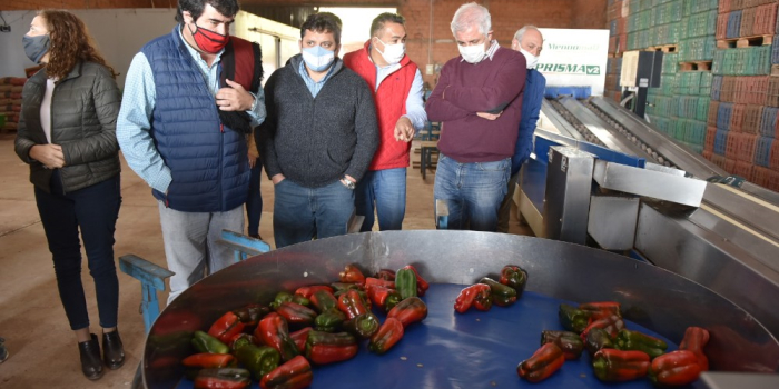 La Provincia elaborará un plan tributario para potenciar el desarrollo de los municipios salteños