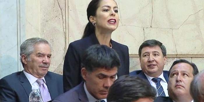 Joanna Picetti,la diputada electa que interrumpió a Macri