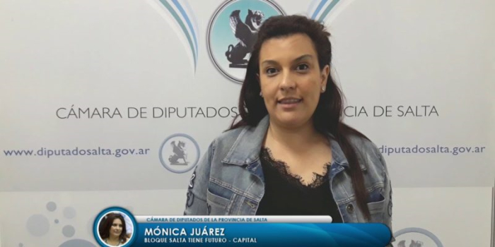 El diputado Lino Yonar será denunciado por adulterar documento público