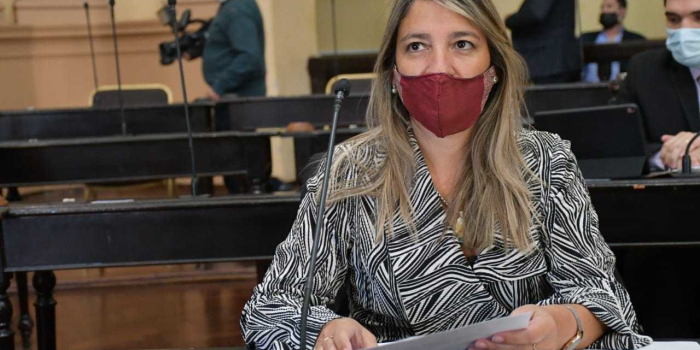 Cannabis Medicinal: Se aprobó un proyecto que habilita la producción e industrialización