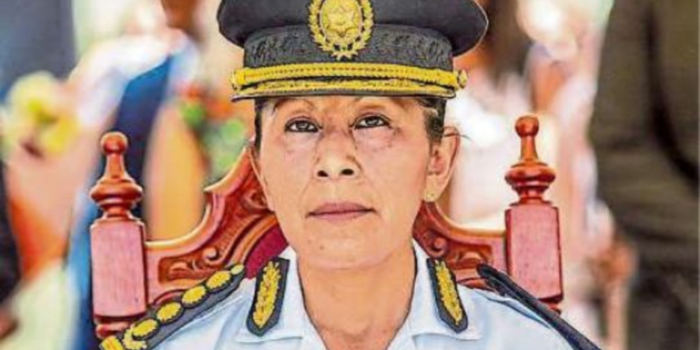 Salta se encamina a crear la Policía de la Mujer