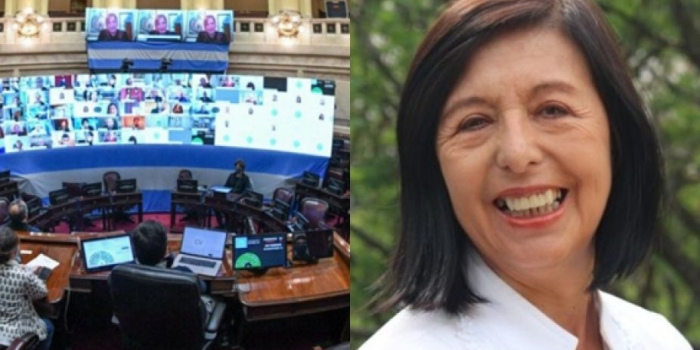 “Es necesario una reforma tributaria para mermar los impuestos en Argentina”