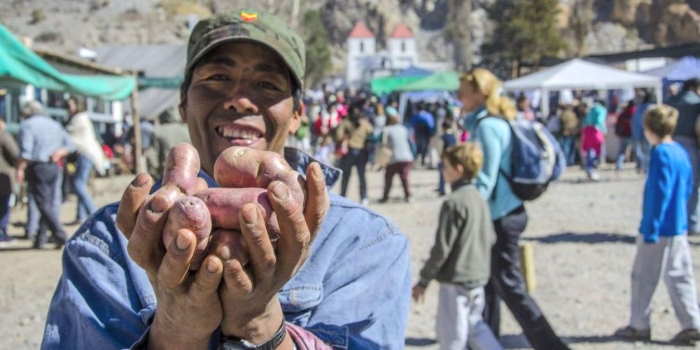 El Alfarcito se viste de fiesta con la Papa andina