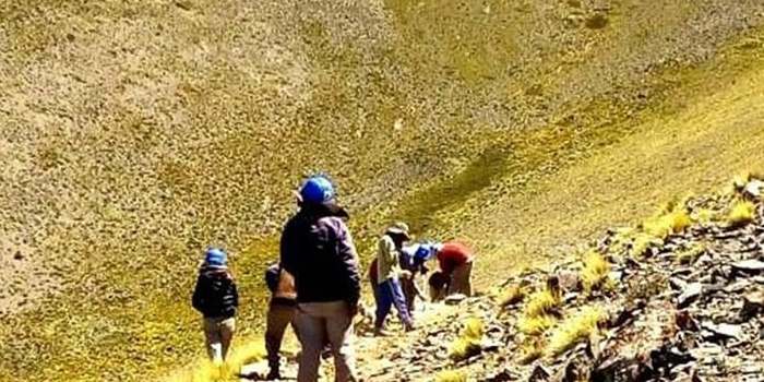 Custodios del Qhapak Ñam advierten de nuevos daños